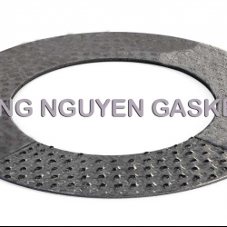 RON CHÌ CÓ LỚP INOX, RON GRAPHITE, VÒNG ĐỆM GRAPHITE